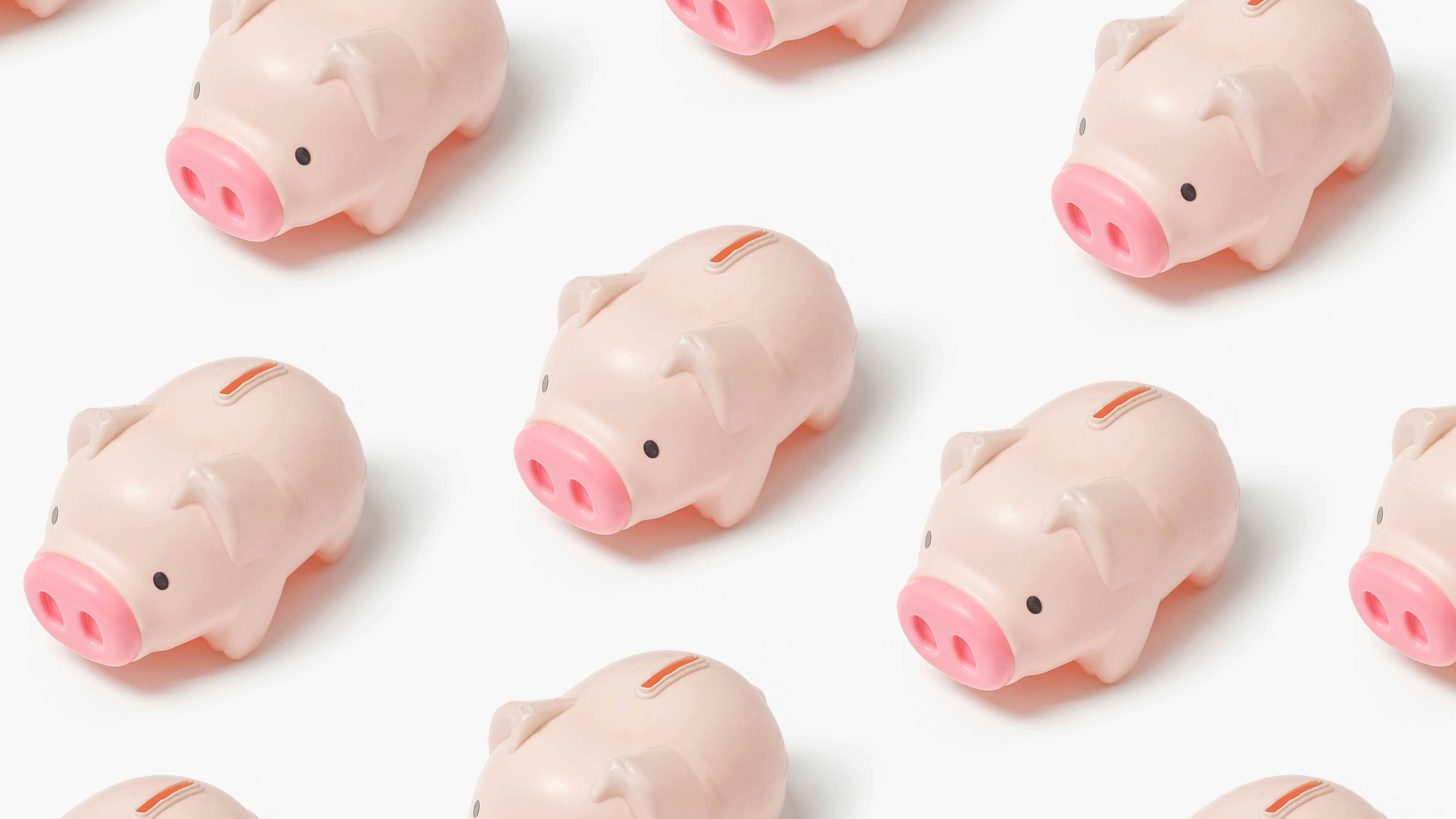Pig Butchering Scams cover image